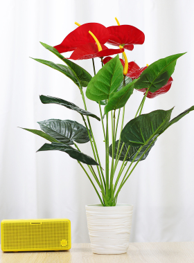 仿真植物小盆栽装饰摆件