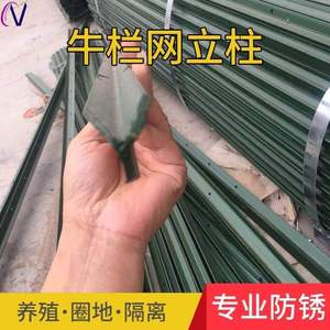 耐磨果园护栏网柱子菱形可移动养牛隔离栏网柱户外网菜园子马路