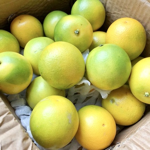 高原阳光橙云南玉溪冰糖橙子新鲜水果10斤当季褚青绿皮花斑整箱甜