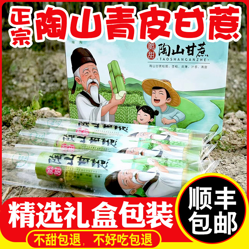 【顺丰】陶山青皮甘蔗5斤当应季新鲜孕妇水果果蔗礼盒装整箱,水产肉类/新鲜蔬果/熟食,其它,淘宝优惠券,粉丝福利购,淘宝优惠卷