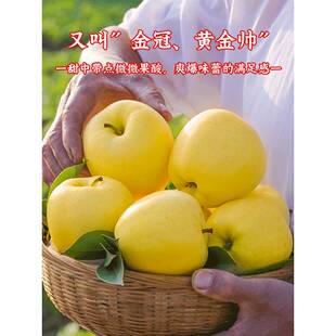 甘肃黄元帅苹果新鲜水果10斤应当季粉面大苹果金帅黄香蕉整箱