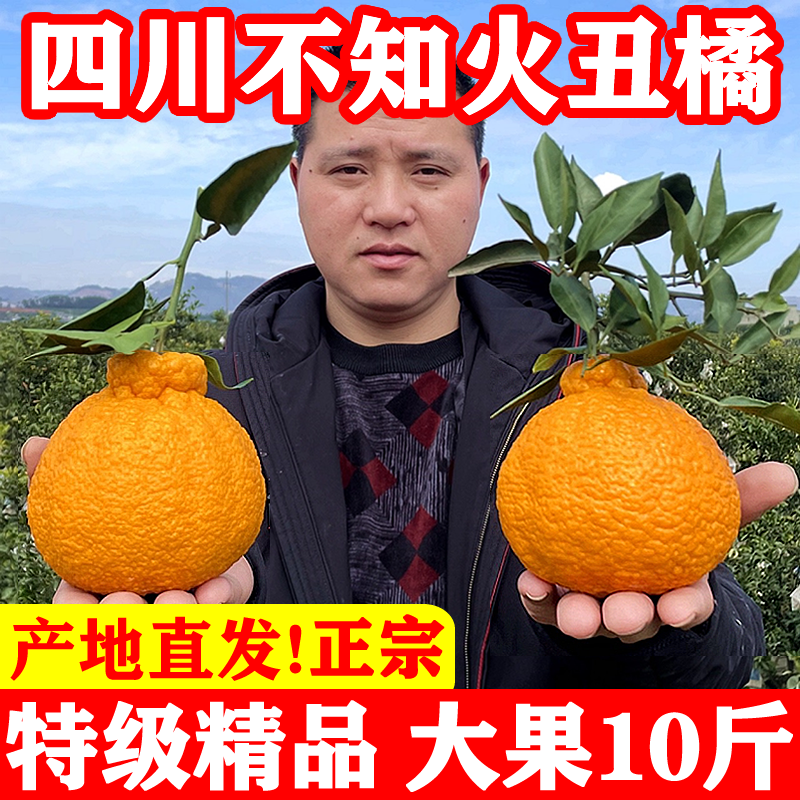 四川丑橘耙耙丑八怪柑桔子粑粑特优新鲜水果整箱10斤,水产肉类/新鲜蔬果/熟食,桔子,淘宝优惠券,粉丝福利购,淘宝优惠卷