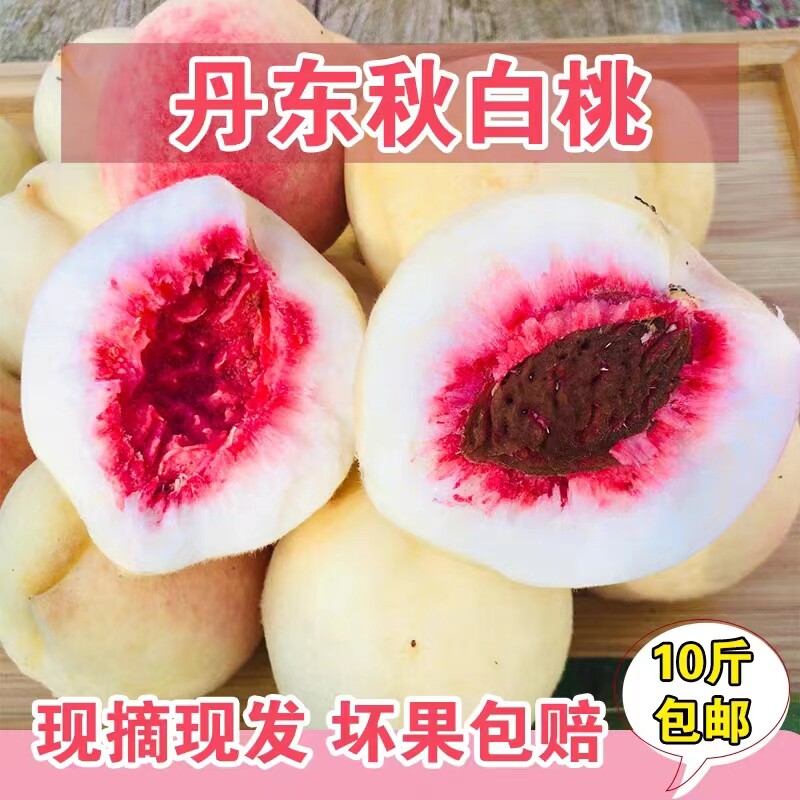 秋白桃丹东河口秋白桃 鲜艳毛桃 银白桃产地新摘包邮 2024新鲜