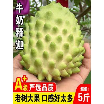 粒味果包释荔应牛佛鲜枝