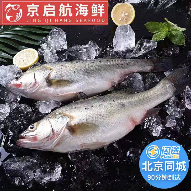 1.5-2斤1条 北京闪送 冰鲜 海鲈鱼 可去除内脏 海鲜水产