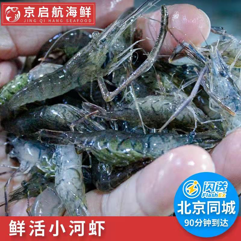 500g仅限北京闪送现货 小河虾大号 新鲜鲜活淡水虾罗氏虾水产活虾 水产肉类/新鲜蔬果/熟食 活虾 原图主图