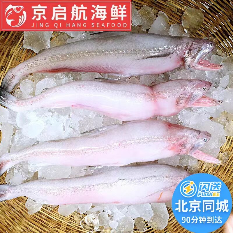 500g 北京闪送 冰鲜 豆腐鱼 新鲜龙头鱼海鲜 九肚鱼 水潺鱼 水产