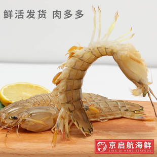 500g北京闪送鲜活大公皮皮虾海鲜虾爬子水产富贵虾琵琶虾濑尿虾姑