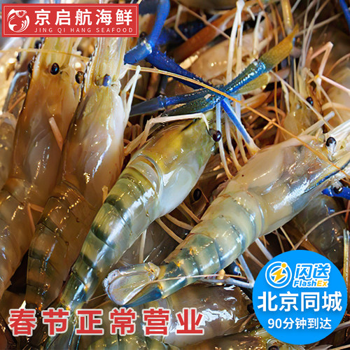 北京闪送鲜活罗氏虾大头虾