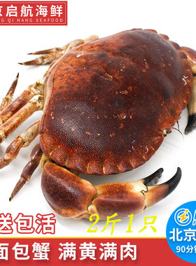 价格鲜活面包蟹一只特大水产