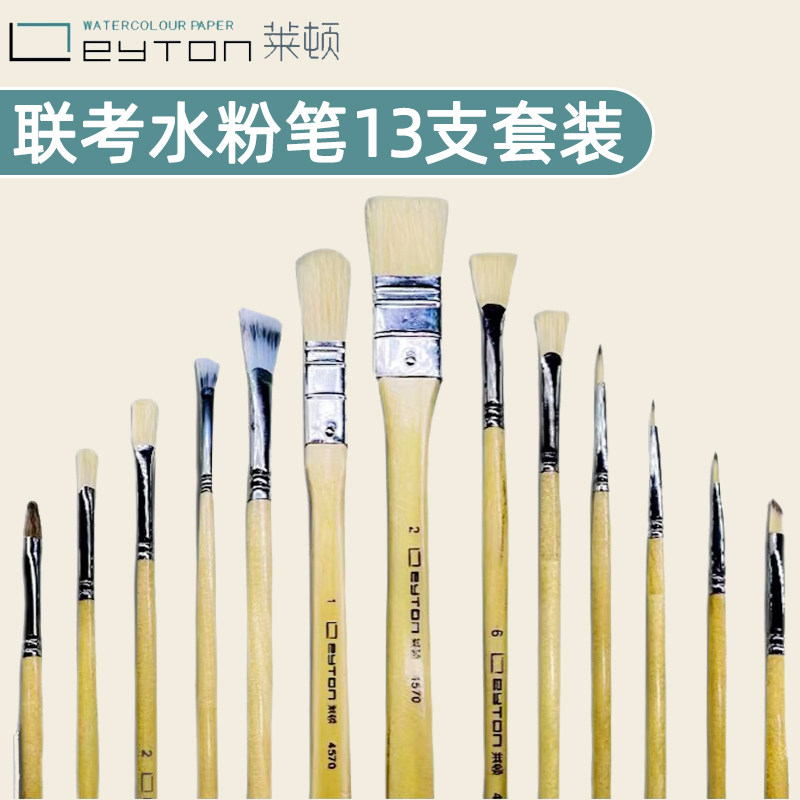 莱顿水粉笔美术联考13支套装美术专用学生绘画扇形刷子初学者颜料笔丙烯画笔水彩勾线笔尼龙笔专业猪鬃油画笔