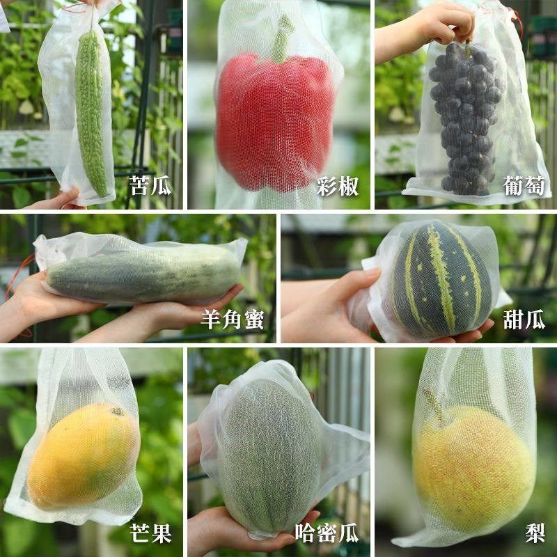 丝瓜黄瓜苦瓜套袋瓜果蔬菜水果防水防雨专用袋子防鸟防尘防虫袋子,个性定制/设计服务/DIY,明信片定制,淘宝优惠券,粉丝福利购,淘宝优惠卷