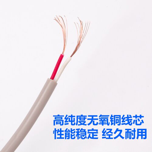环境控制器以色列ROTEM 大鸿畜牧温氏养猪场养鸡场探头温度传感器