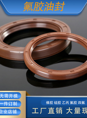 GB/T13871唇形密封圈FBTC型旋转氟胶骨架油封内径45mm外径55-90mm