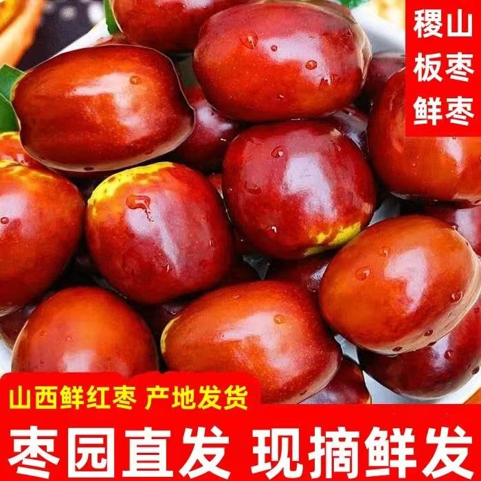 新鲜枣子 水果脆甜鲜枣山西运城枣