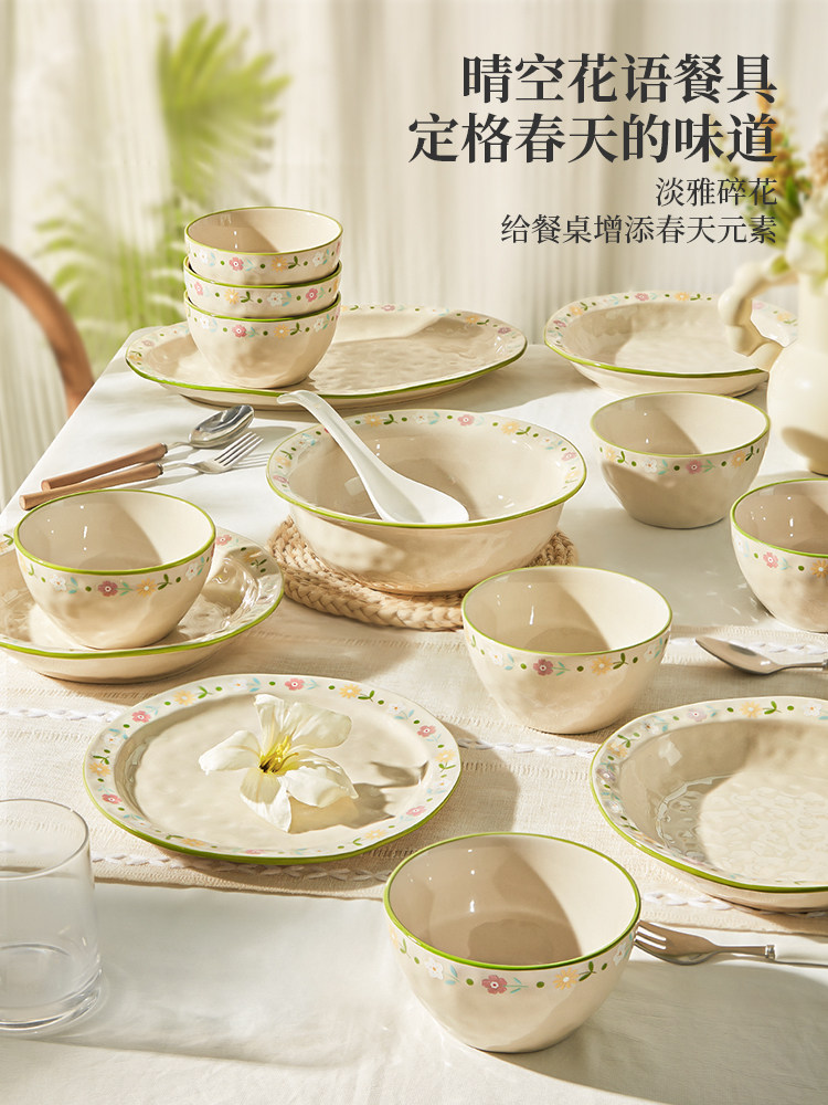 新餐具和餐具为家庭使用2025新的乔迁碗和盘子陶瓷碗和筷子高价值