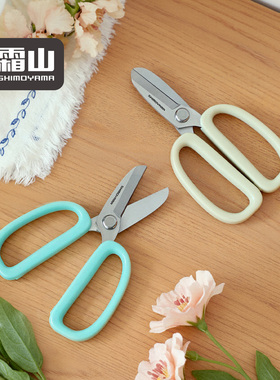 霜山花剪园艺花艺剪刀家用鲜花盆栽修枝剪园艺剪花艺师插花用剪子