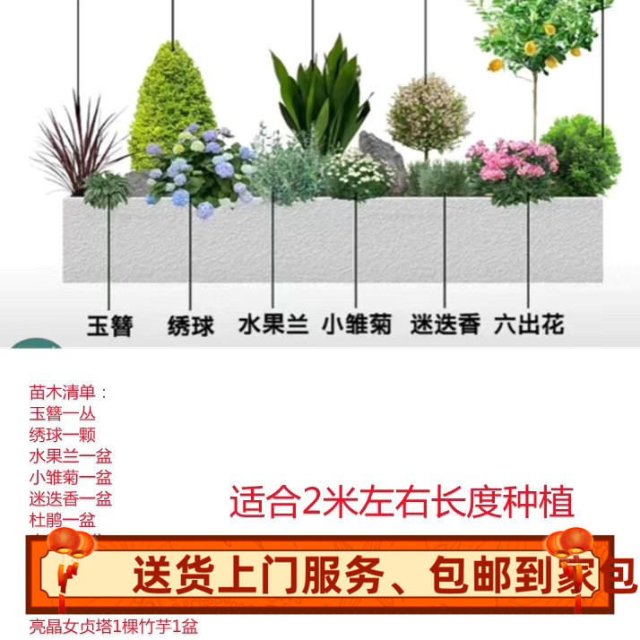 花镜绿植物搭配组合套餐阳台庭院造景布置耐寒冬苗圃装非成品造型