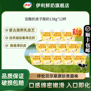 伊利宫酪奶皮子酸奶138g 12杯呼伦贝尔草原珍贵菌株