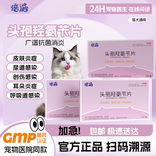 宠物头孢羟氨苄片狗狗猫咪消炎药犬猫专用感冒药尿路脓皮症中耳炎