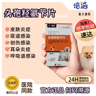 宠物头孢羟氨苄片狗狗猫咪消炎药犬猫专用感冒药尿路脓皮症中耳炎