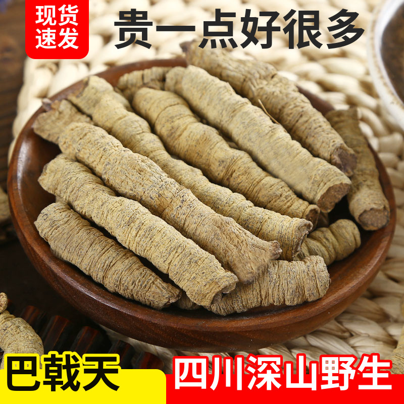 四川巴戟天野外特级500g中药材抽芯鸡肠风泡酒料可搭配牛大力杜仲
