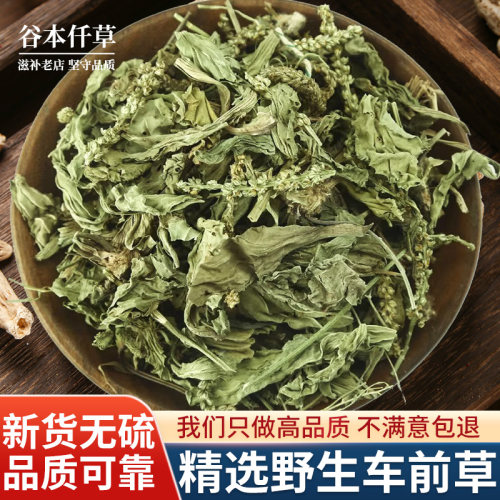 正宗野生车前草500克官方旗舰店