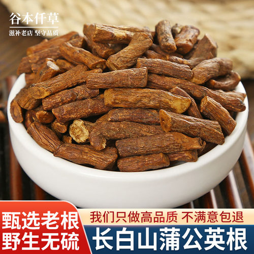 中药材野生蒲公英根大粗根旗舰店