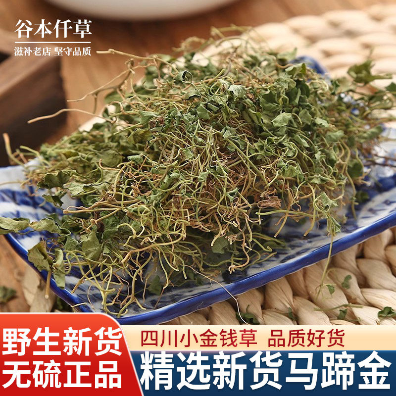新货金钱草中草药材正宗四川小叶金钱草马蹄金新鲜干货500g克包邮