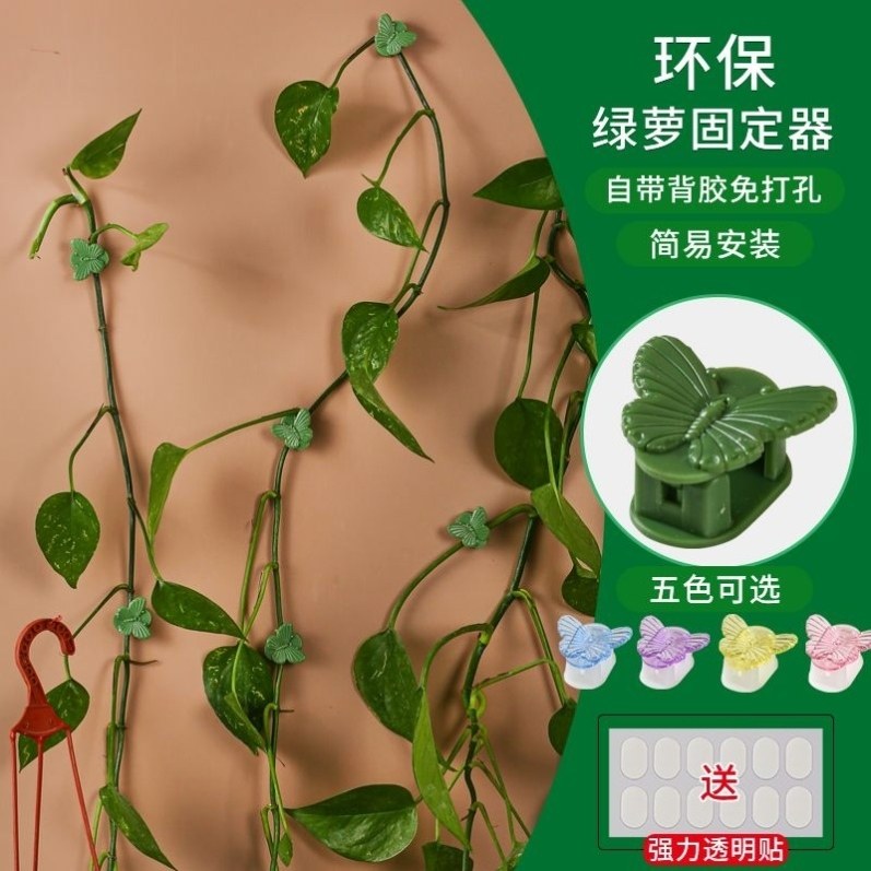 新款加厚爬墙室内办公室固定器神器固定家用植物墙上挂钩无痕绿萝