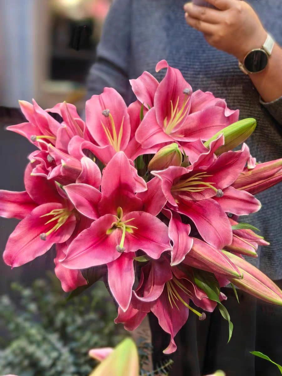 大花蕙兰红玫瑰