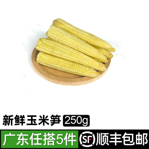 新鲜玉米笋250g迷你水果玉米笋