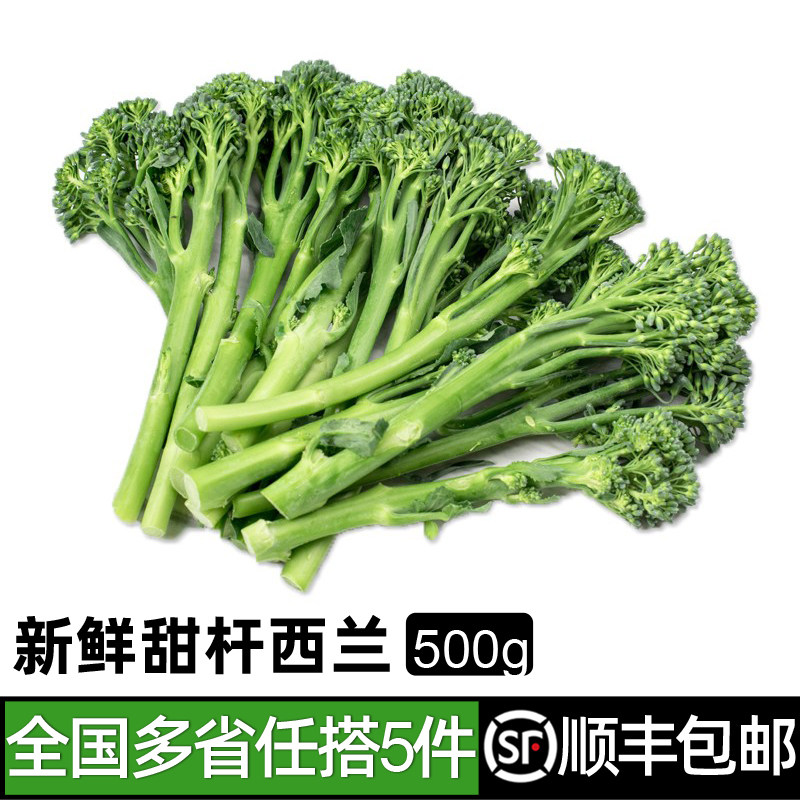 甜杆西兰苔500g 新鲜蔬菜芦笋西兰花时令蔬菜脆嫩 满5件包邮