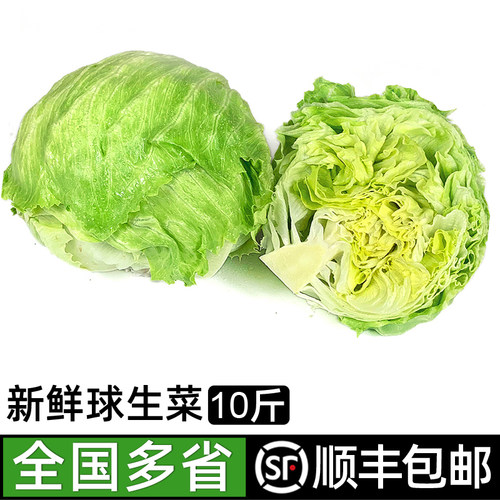 蔬菜汉堡沙拉食材球生菜10斤
