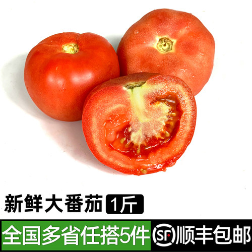 新鲜大番茄500g 生吃沙瓤西红柿农家蔬菜自然熟水果现摘柿子