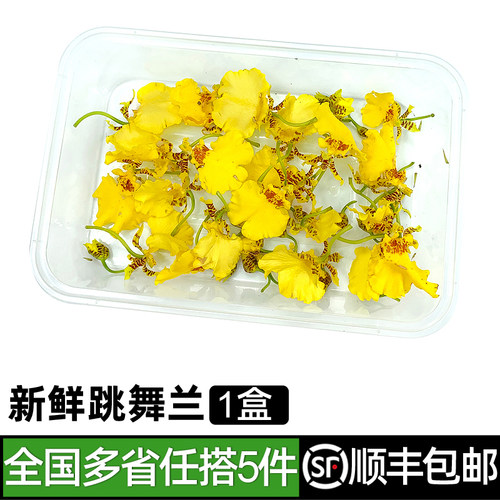 新鲜跳舞兰20朵左右/盒金蝶兰文心兰西餐烘焙装饰摆盘花草5件包邮