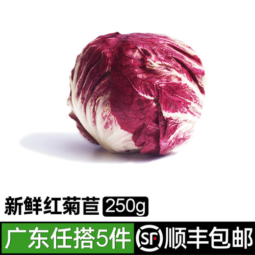 新鲜落地球生菜250g 紫苣红菊苣红叶包菜沙拉蔬菜食材 5件包邮