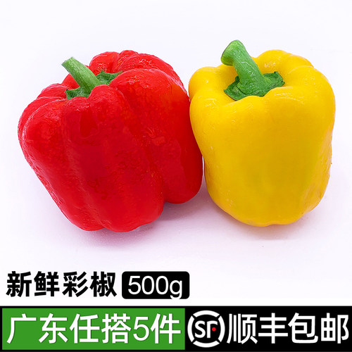 彩椒450g沙拉食材包邮新鲜蔬菜
