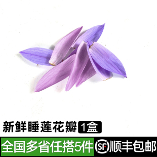 包邮 新鲜睡莲花瓣1盒 5件 饰 紫蓝莲花瓣酒店西餐冷盘摆盘装