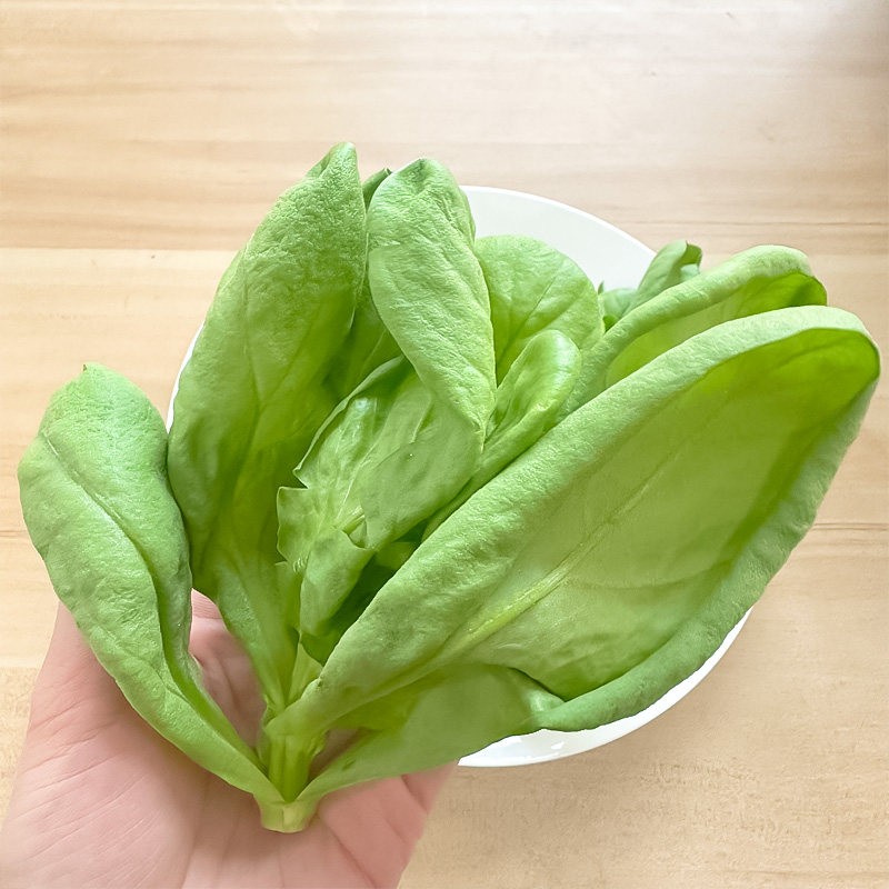 新鲜金山本地蓬蒿 大叶蓬蒿现摘现发圆叶蓬蒿 凉拌火锅涮菜 5件