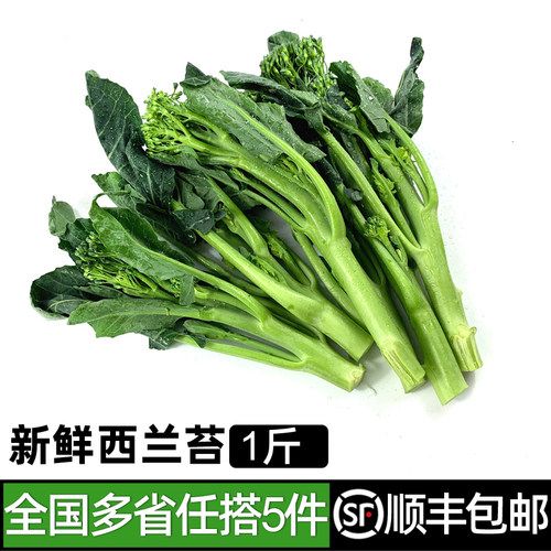 新鲜西兰苔1斤 时令蔬菜青花苔迷你小西兰花苔 5件顺丰包邮