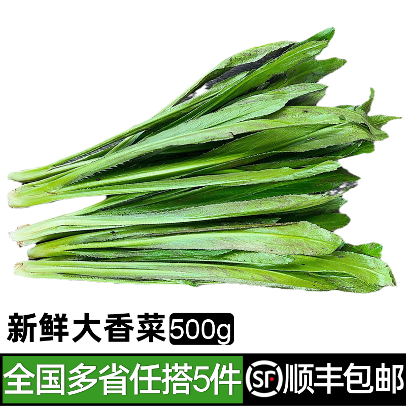 新鲜大香菜500g 芫茜刺芹芫西泰国香菜冬阴功食材料芫荽香料蔬菜 水产肉类/新鲜蔬果/熟食 其它 原图主图