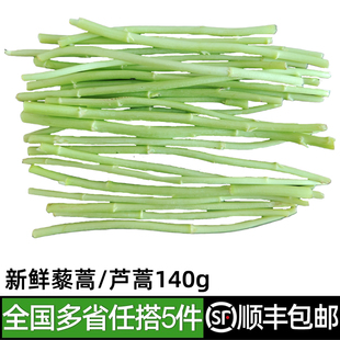 新鲜藜蒿140g 芦蒿蒌蒿去根去叶农家自种泥蒿当季新鲜蔬菜野菜