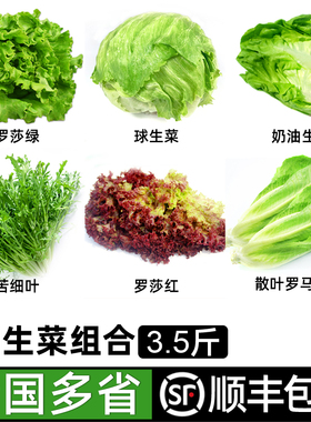 新鲜沙拉蔬菜组合3.5斤 球生菜红叶绿叶生菜轻食生吃沙拉食材