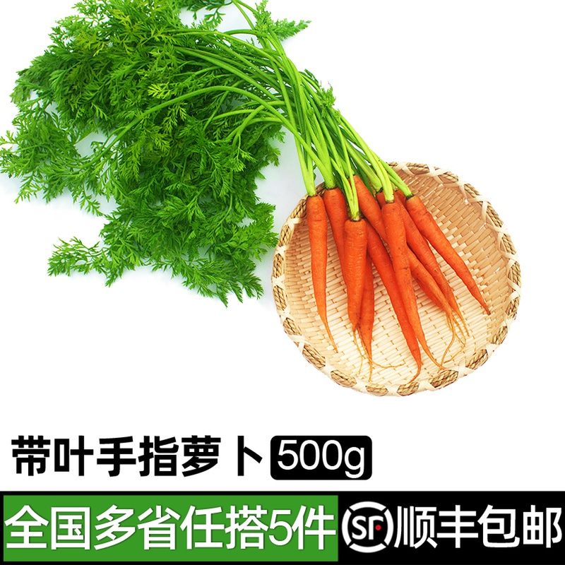 带叶手指萝卜500g新鲜迷你胡萝卜小红萝卜西餐水果蔬菜 5件包邮-封面