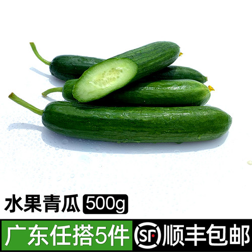 新鲜蔬菜生吃小黄瓜包邮水果黄瓜