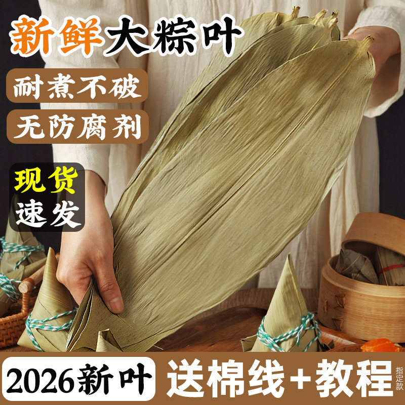 粽叶干大号粽子叶包粽子专用