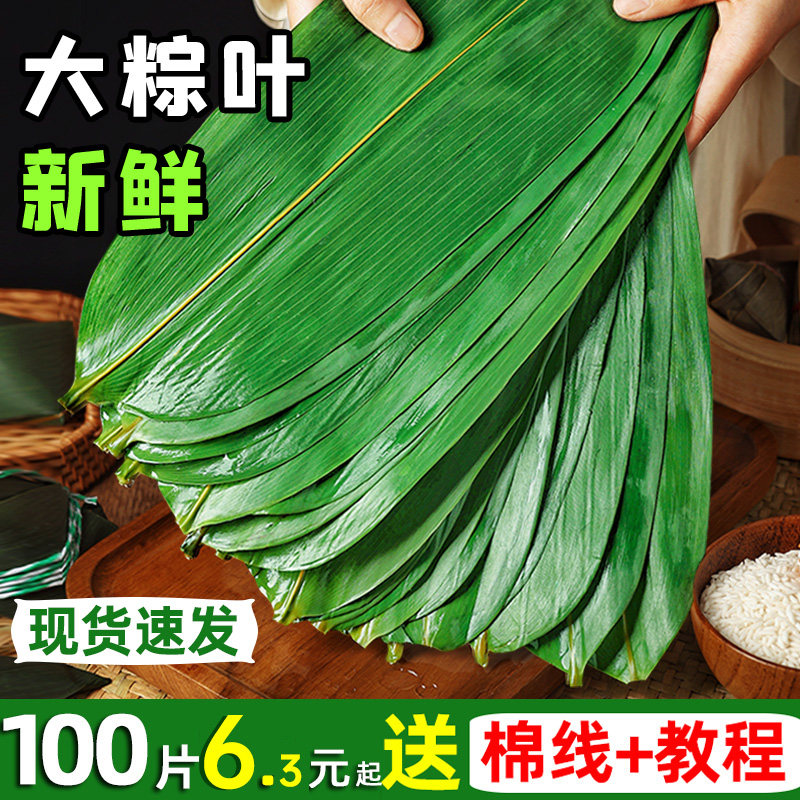 真空新鲜粽叶大号尺寸