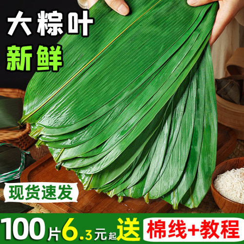真空新鲜粽叶大号尺寸