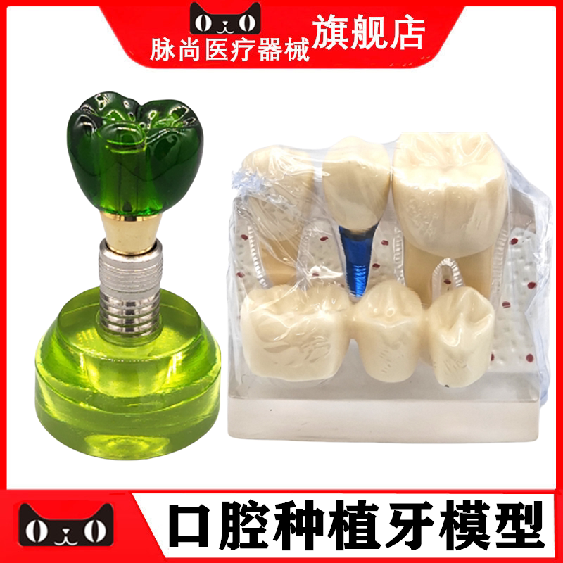 口腔教学模型种植练习模型